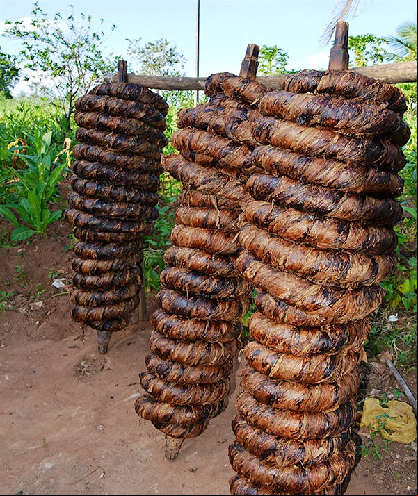 The Arapiraca leaves are bound by tightly wound ropes and left to ferment, a technique borrowed from the native peoples who harvest tobacco in the Alagoas region of Brazil.